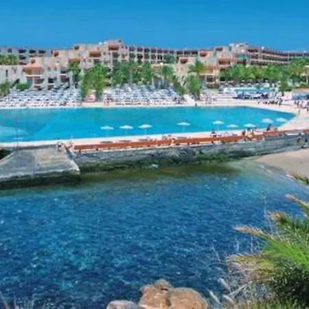 Sunny Holiday At South Tenerife Costa Del Silencio