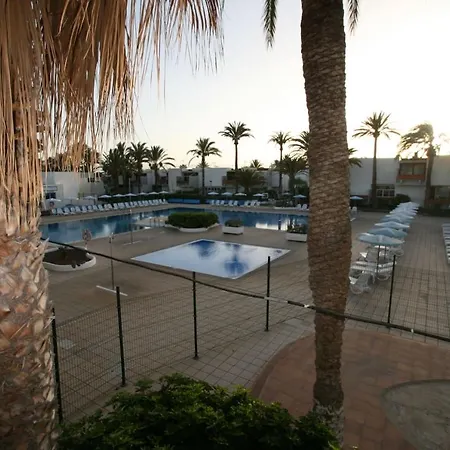 Sunny Holiday At South Tenerife