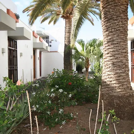 Sunny Holiday At South Tenerife *