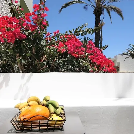 Sunny Holiday At South Tenerife Apartment